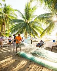 Visita el Mercado del Pescado